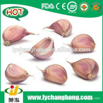 2014 New Crop Normal White Garlic Market Price